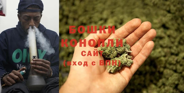 сатива Белокуриха