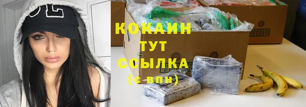 сатива Белокуриха