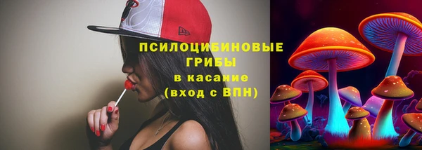 шишки Беломорск
