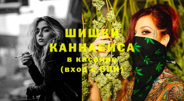 шишки Балабаново