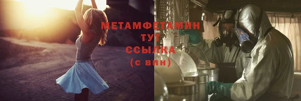сатива Белоозёрский