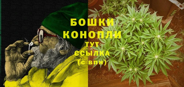 сатива Белокуриха