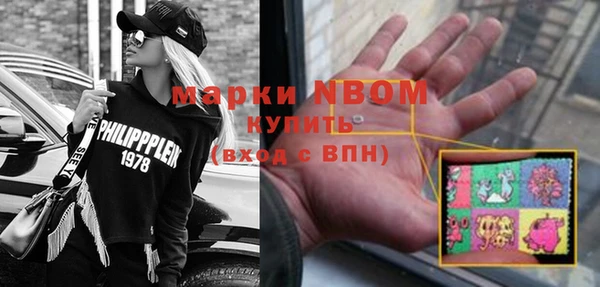 сатива Белокуриха
